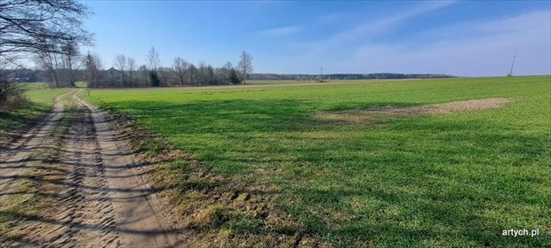 Urokliwa działka z domem i budynkami w Hołowienkach dom Hołowienki