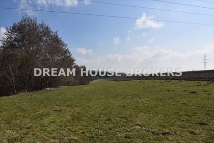 działka na sprzedaż 6000m2 działka Ciężkowice, Jastrzębia