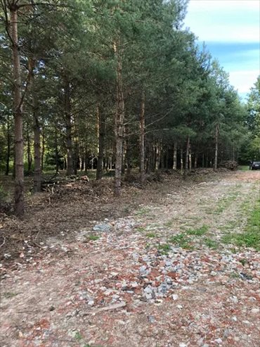 działka na sprzedaż 3400m2 działka Mieszkowo, Mieszkowo