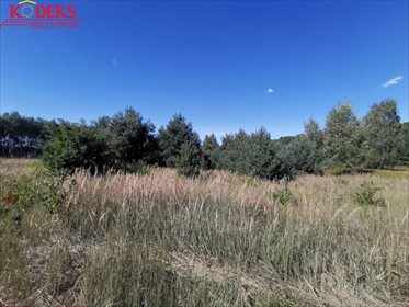 działka na sprzedaż 20000m2 działka Nowa Wieś