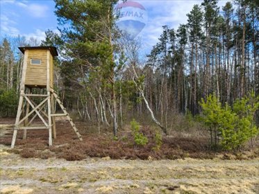 działka na sprzedaż 9111m2 działka Pustelnik, Kopernika