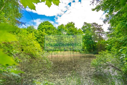 Działka 5500 m² z stawem i starodrzewiem, media w drodze działka Grodzisk Mazowiecki