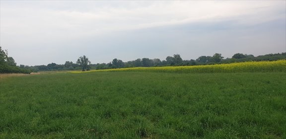 Zapraszam do obejrzenia działki rolnej 1,41 ha w Zambrzyńcu działka Zambrzyniec, Zambrzyniec