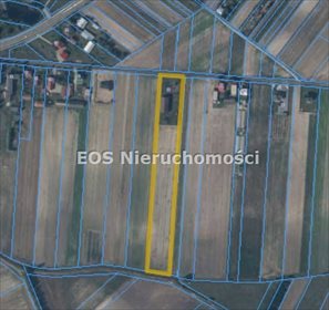 lokal użytkowy na sprzedaż 347m2 lokal użytkowy Sieniec