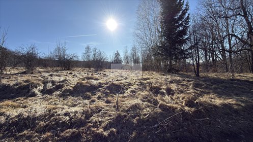 Zapraszam do zakupu działki 17 800 m² w Gruszkowie działka Gruszków