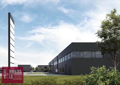 Lokal użytkowy na sprzedaż Wysogotowo 1 200m2 Foto 1
