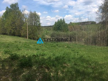 działka na sprzedaż 46200m2 działka Skorzewo