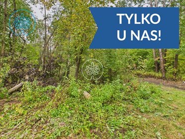 działka na sprzedaż 34700m2 działka Kiełpiny