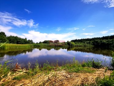 Urokliwe siedlisko z jeziorem i 4 domami, 27 000 m² działka Bosowice