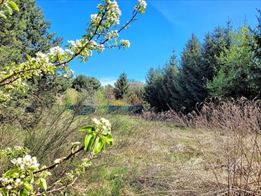 Do sprzedania działka 2231 m² z warunkami zabudowy w Różankach działka Różanki, Srebrna