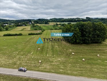 działka na sprzedaż 9762m2 działka Pasieka