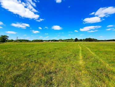 działka na sprzedaż 3001m2 działka Turośń Kościelna, Słoneczna