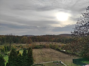 działka na sprzedaż 1000m2 działka Psary, Gródków