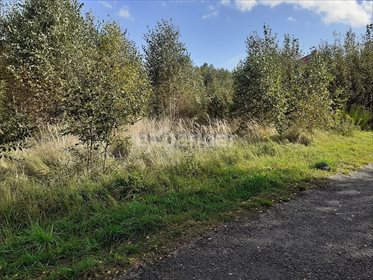 działka na sprzedaż 1260m2 działka Wierzchowisko, Nowa