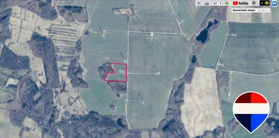 Działka rolna 4,33 ha przy drodze w Krzywej działka Słupski, Krzywa