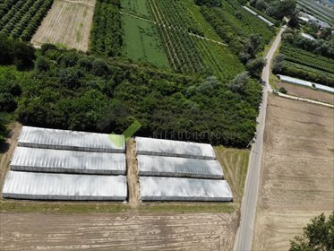 Działka inna na sprzedaż Wola Magnuszewska 5 440m2 Foto 5