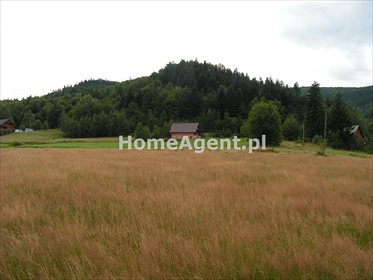 Działka budowlana na sprzedaż Skawica, Sucha Góra 14 591m2 Foto 3