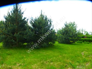 Dom na sprzedaż Piorunów 100m2 Foto 7