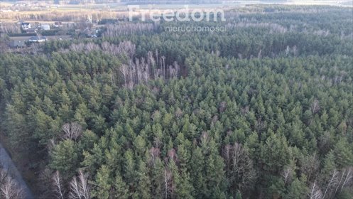 działka na sprzedaż 4000m2 działka Izabelin