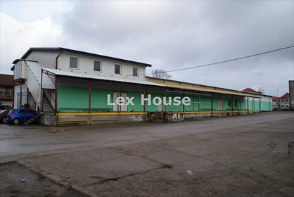 lokal użytkowy na wynajem 1225m2 lokal użytkowy Kamień Pomorski