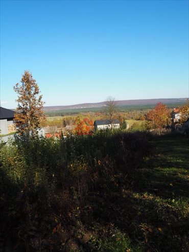Działka budowlana na sprzedaż Mąchocice-Scholasteria 2 002m2 Foto 3