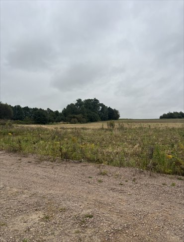 działka na sprzedaż 3500m2 działka Morawica