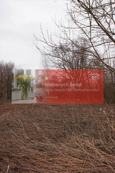 działka na sprzedaż 6000m2 działka Kazimierz Dolny