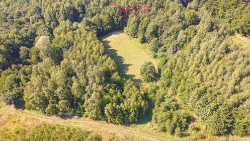 Działka leśna na sprzedaż Dylągówka 4 300m2 Foto 2