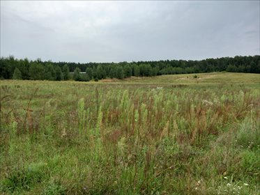 Działka rolna na sprzedaż Promna-Kolonia, Promna 11 400m2 Foto 6