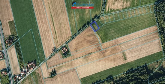 Działka budowlana 1505 m² w Tarnowie - las i DK11 działka Tarnowo