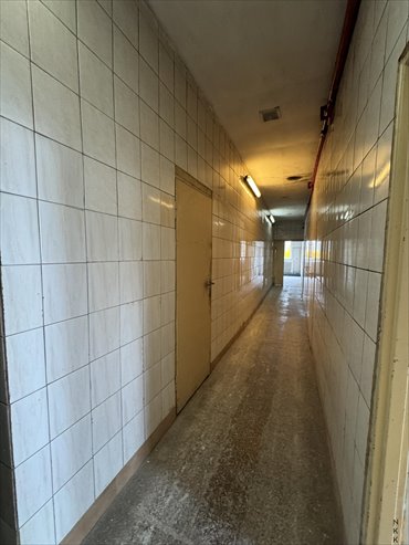 Lokal użytkowy na sprzedaż Domaniów 2 285m2 Foto 4