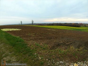 działka na sprzedaż 10000m2 działka Brzozówka Korzkiewska