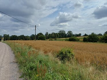 Działka budowlana 1004 m2 z warunkami zabudowy w Żukowie działka Żukowo, Dębowa