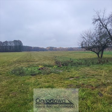 Działka 1000 m² pod zabudowę w Kaliska - warunki na dom działka Kaliska