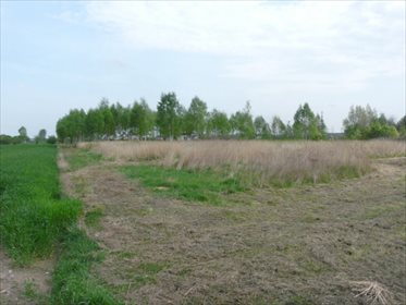 działka na sprzedaż 2300m2 działka Gorzkowice, Leonów, Działkowa