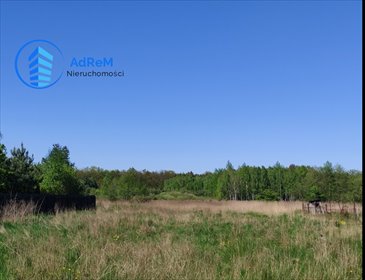 działka na sprzedaż 6544m2 działka Słomczyn