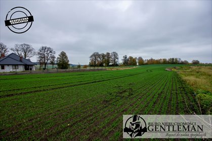działka na sprzedaż 1085m2 działka Gołębiewo Wielkie