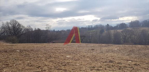 działka na sprzedaż 24400m2 działka Libertów, Libertów