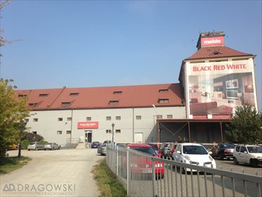 lokal użytkowy na sprzedaż 3844m2 lokal użytkowy Ostrowiec Świętokrzyski