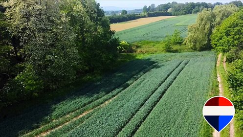 Działka 4 ha z widokiem na góry, pod dom i agroturystykę działka Wadowicki, Turystyczna
