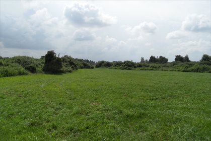 Działka inna na sprzedaż Dalewo 7 722m2 Foto 5
