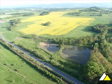 działka na sprzedaż 211900m2 działka Krzewie Wielkie