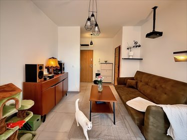 Nowoczesny 2-pokojowy apartament na osiedlu Park Ostrowska mieszkanie Szczecin, Żelechowa, Ostrowska