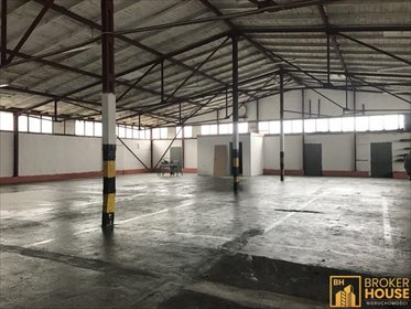 Hala magazynowa 391 m² z monitoringiem i parkingiem polecam lokal użytkowy Opole