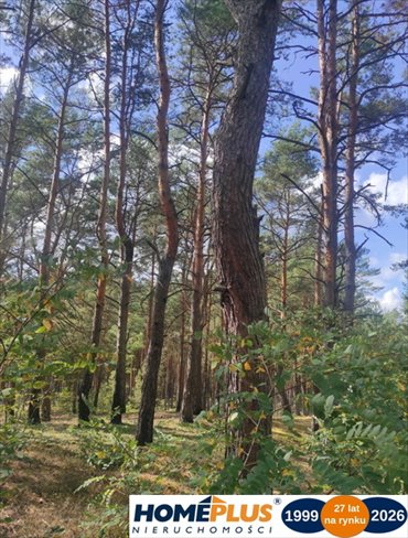 działka na sprzedaż 1999m2 działka Radzymin, Rejentówka