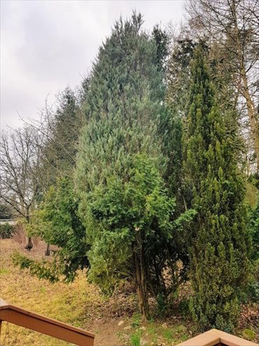 dom na sprzedaż 2020m2 dom Popowo-Parcele, Storczykowa