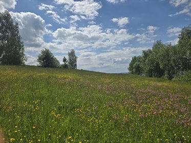 działka na sprzedaż 4008m2 działka Bobowa, Akacjowa