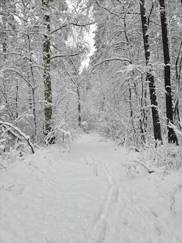 działka na sprzedaż 10100m2 działka Rekle