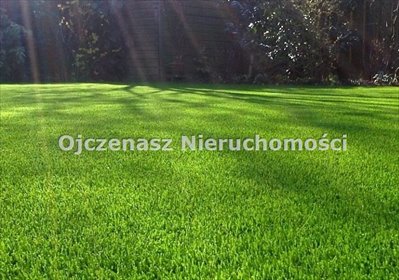 działka na sprzedaż 900m2 działka Ojrzanowo