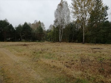 działka na sprzedaż 1900m2 działka Czechy Orlańskie